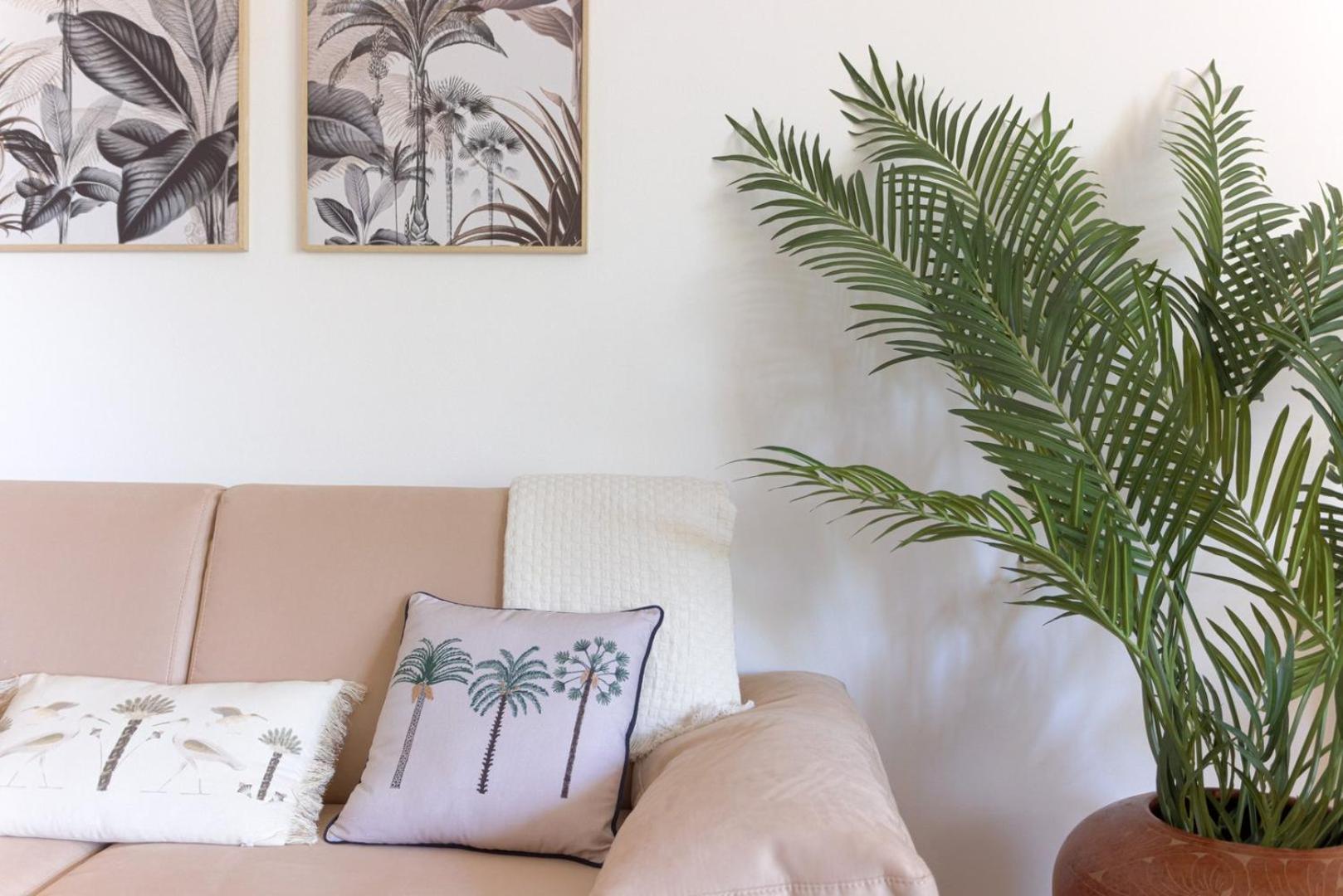 Hight Standing Point Croisette Appartement *